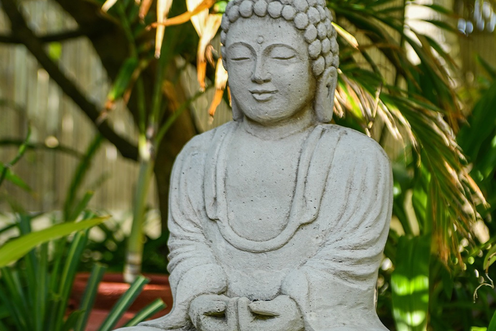 Retreats and wellness